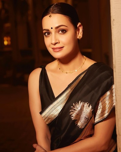 Traditional soft silk saree - traditional,