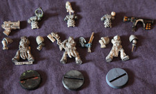 Warhammer 40k, Space Wolf