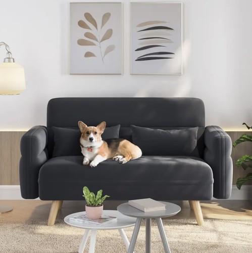 Seater modern sofa - 2-seater,