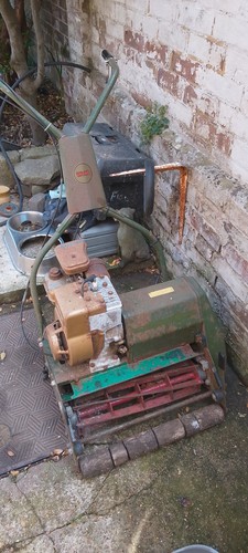 Webb petrol 43cm - webb,