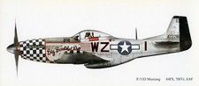 P-51D MUSTANG - "Big Beautiful