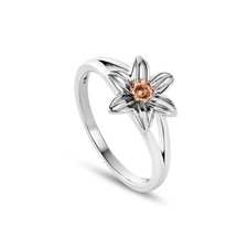 Clogau Welsh Gold Nature's