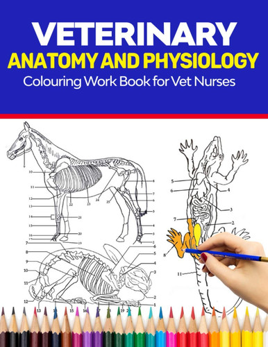Veterinary anatomy and - veterinary,