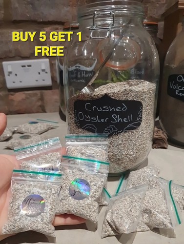 Oyster shell fines - fines, plants