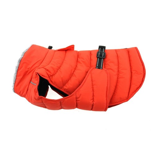 Orange dog coat alpine - dog,