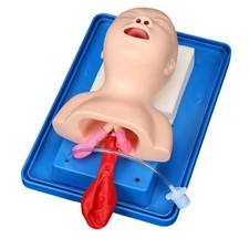 Intubation Manikin Lab Airway
