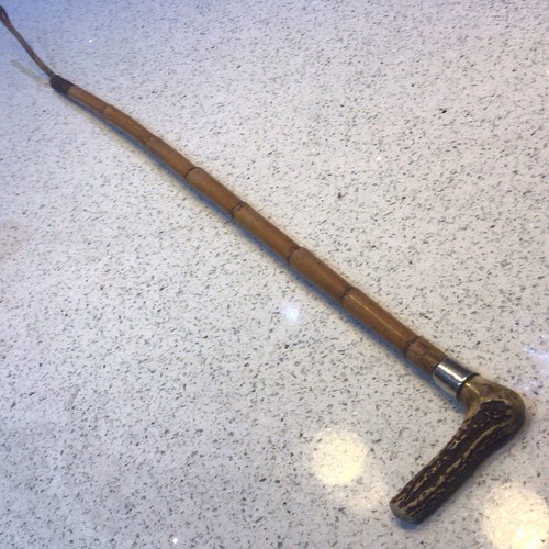 Horse riding stick hallmarked - horse,
