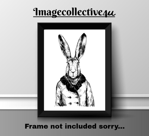 Rabbit animals pets a4 - animals,