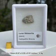 Lunar NWA 8687 Meteorite
