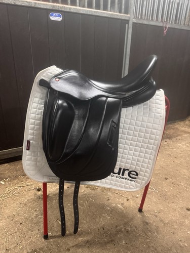 Albion fabrento dressage - albion, cc