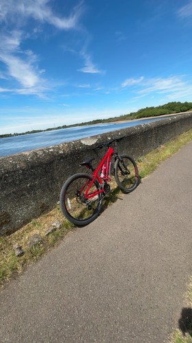 Mountain bike disc - mountain,