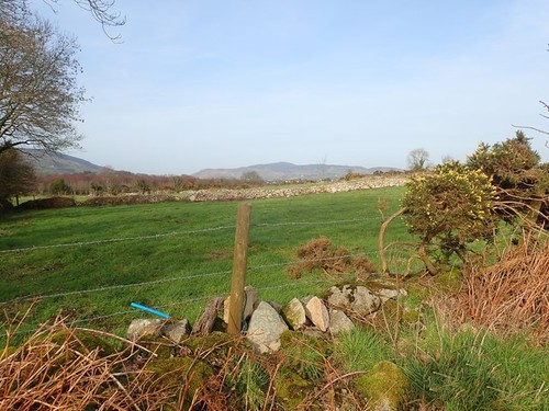 Photo 6x4 pasture land - photo,