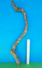 CORK BARK BRANCH 77CM LEOPARD