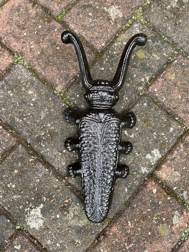 Oxbridge cast iron beetle - cast, boot