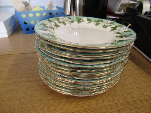 Montrose gladstone bone china - montrose,