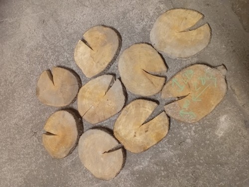 Willow cookies rounds - willow, live