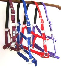 HORSE PADDED HEADCOLLAR  FULL