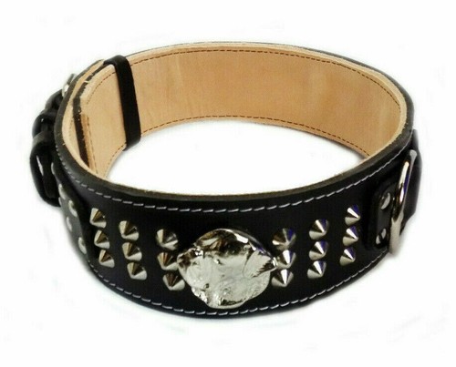 Heavy duty black - duty, collar