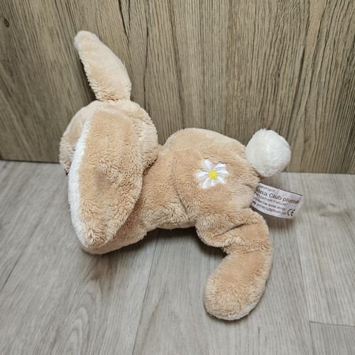 Anna club plush bunny - club,