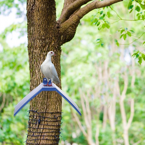 10pcs pigeon perch dove rest - 10pcs,