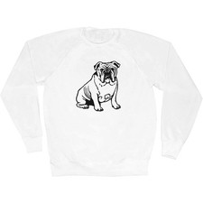 'English Bulldog' Adult