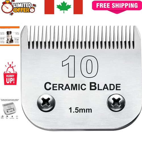 Ceramic stainless steel - ceramic,