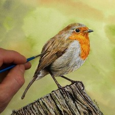 ORIGINAL Watercolour Robin Painting, Detailed Fine Art Bird Illustration