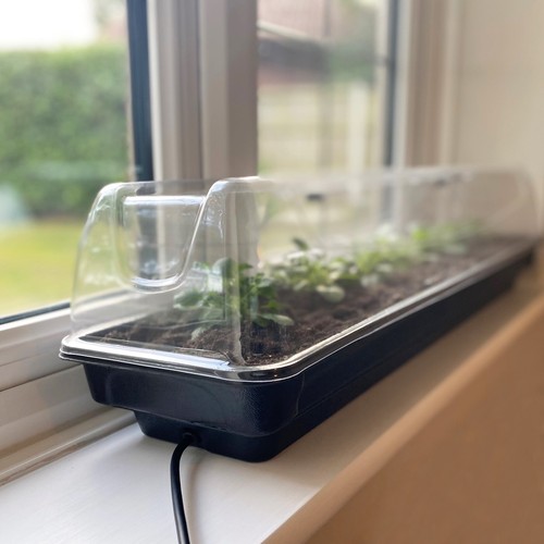 Jumbo windowsill heated - heated, plant