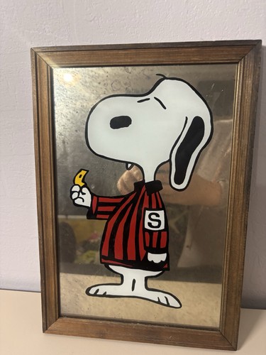 Vintage snoopy peanuts - vintage,