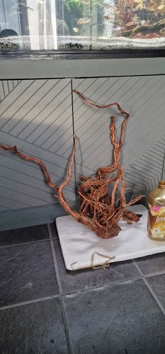 Twisted bogwood - ,