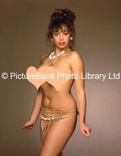 Maria Whittaker A4 Print *Page