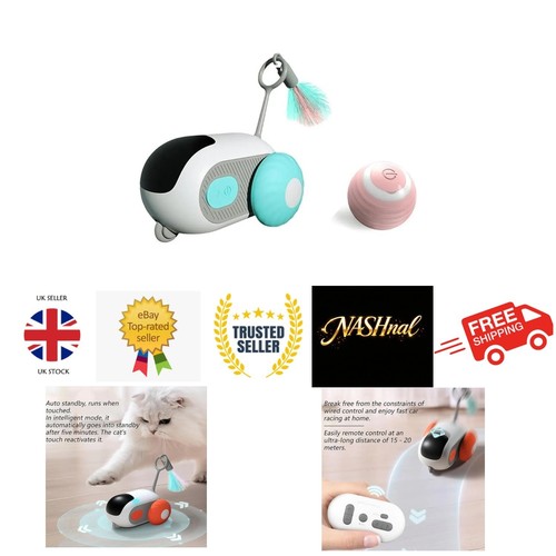Cat toy car - car,