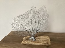 DRIED SEA FAN CORAL PAINTED
