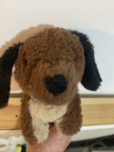 Little town dachshund - little, sausage