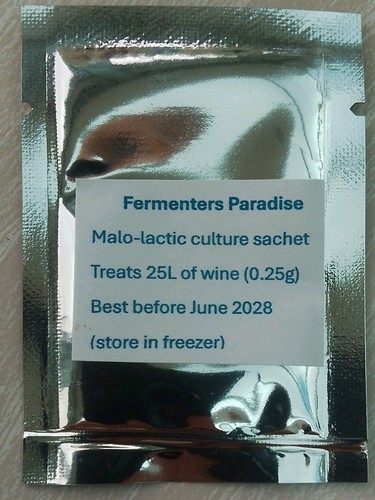 Malo lactic culture - malo, bacteria