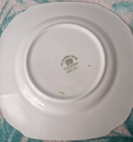 Serving plate - serving,