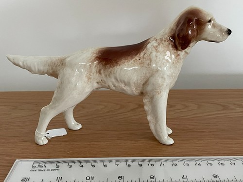 Branksome english setter - english,