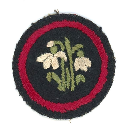 Early rare girl guides - girl,