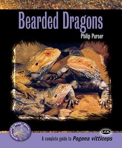 Bearded dragons philip - dragons,