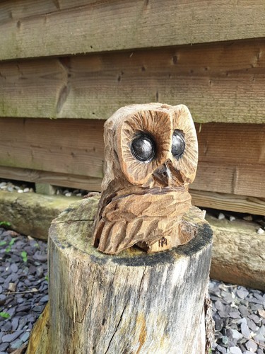 Chainsaw carved owl - chainsaw,