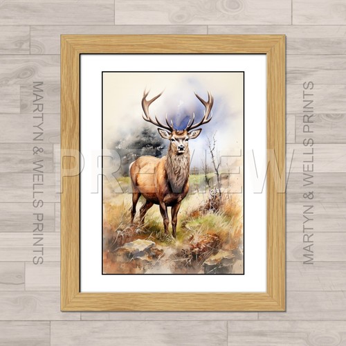 Highland stag watercolour - stag,