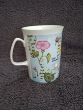 Rose of England Fine Bone