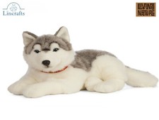 Lying Husky Dog Plush Soft Toy