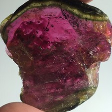 Large Watermelon Tourmaline Crystal Slice From An Old Collection 22 Grams
