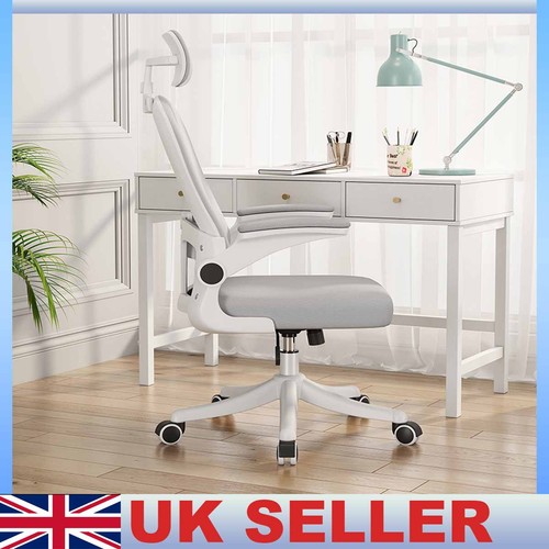 Ergonomic mesh office chair - ergonomic,