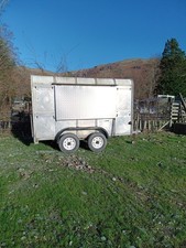 Ifor Williams Livestock