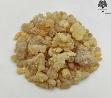 Frankincense Resin Large Tears