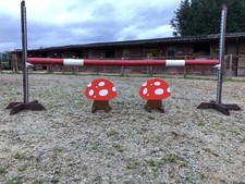 Toadstool show jump - toadstool,