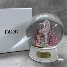 Christian Dior  2024 Seahorse