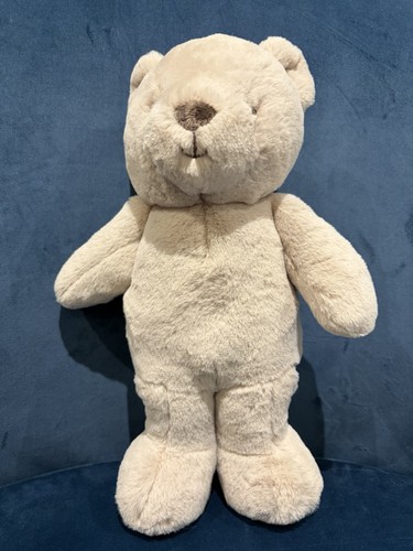 Marks and spencer - spencer, bear